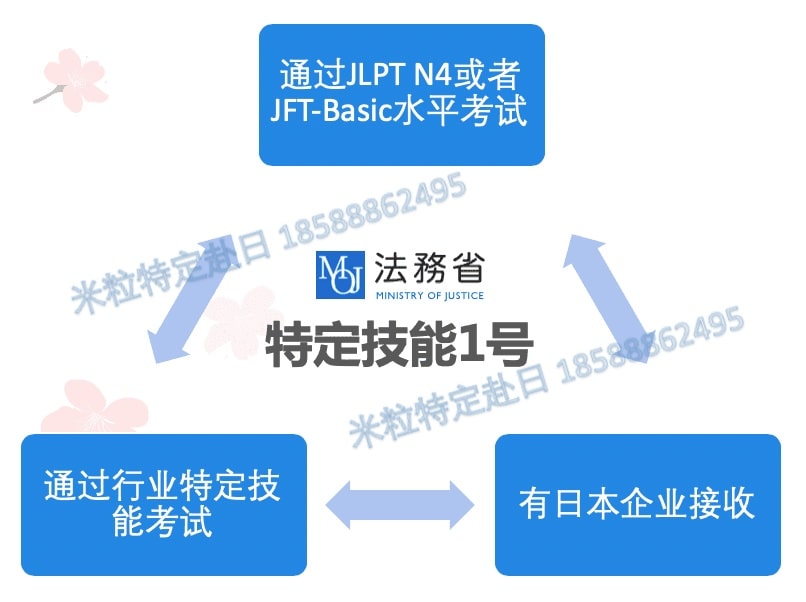 日本工作 特定技能制度图