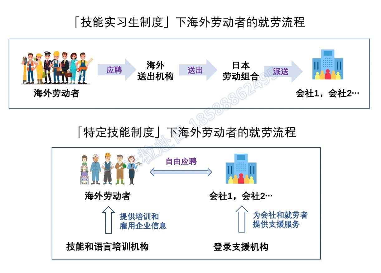 特定技能流程